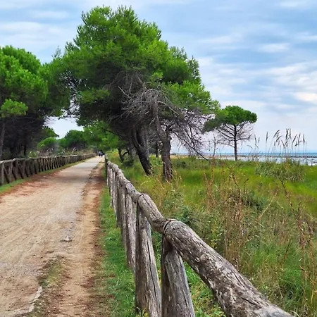 Διαμέρισμα Relaxing In A Area *