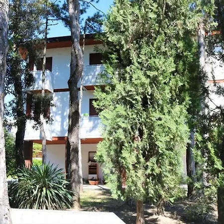 Relaxing In A Area *