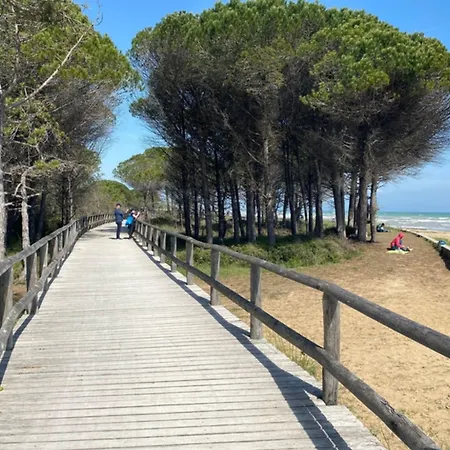 Relaxing In A Area Bibione